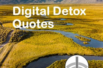digital detox quotes