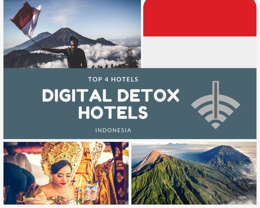 digital detox indonesien